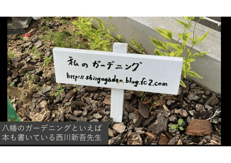 愛のあるガーデニングといえば西川新吾先生のアイキャッチ画像