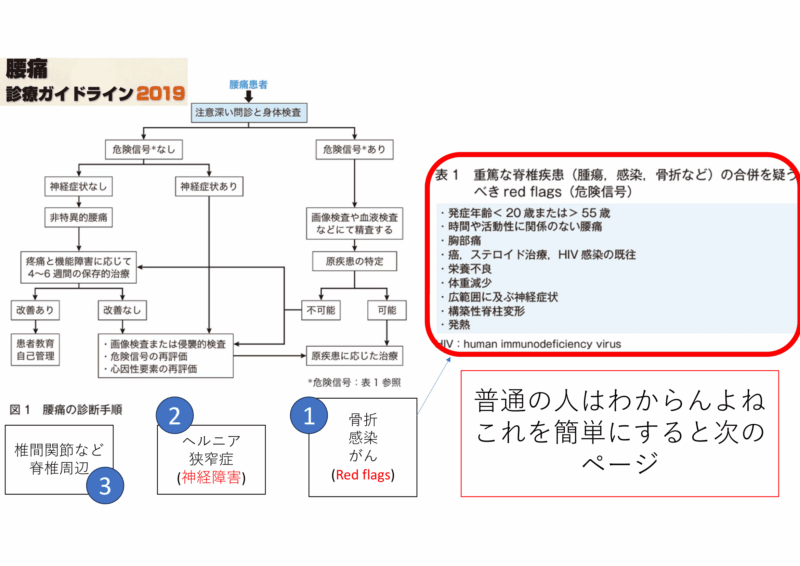 私は腰痛をこう診ている　「急ぐか、MRI要るか」のアイキャッチ画像