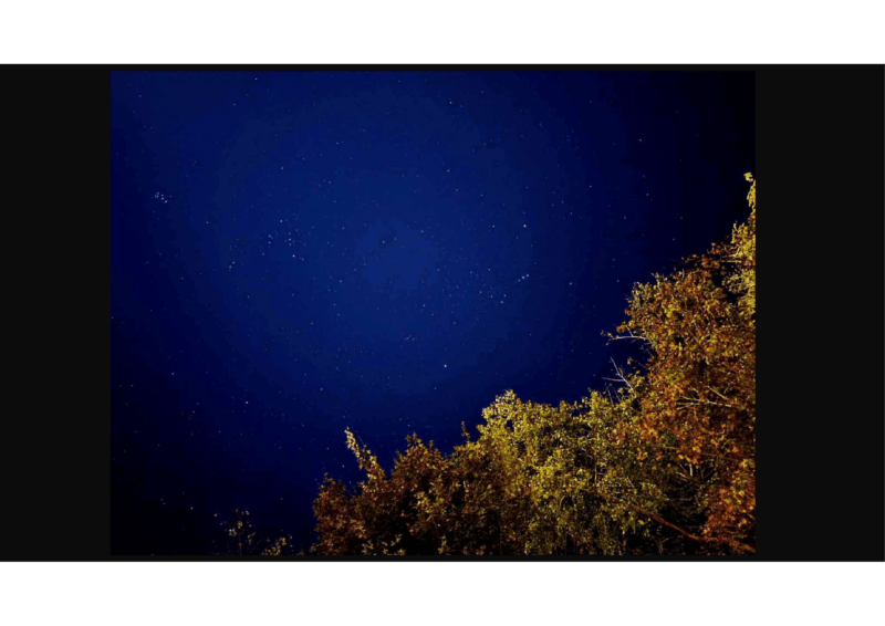 熱狂的ファンの作り方　2026年の淡海せぼねクリニックのアイキャッチ画像