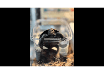 生きる！のアイキャッチ画像